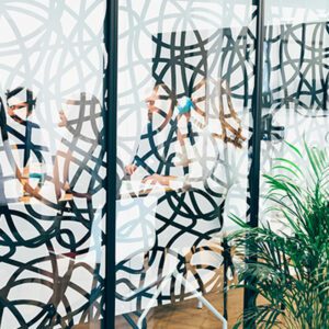 APL Pro à Bourg-en-Bresse : film décoratif lignes entremêlées